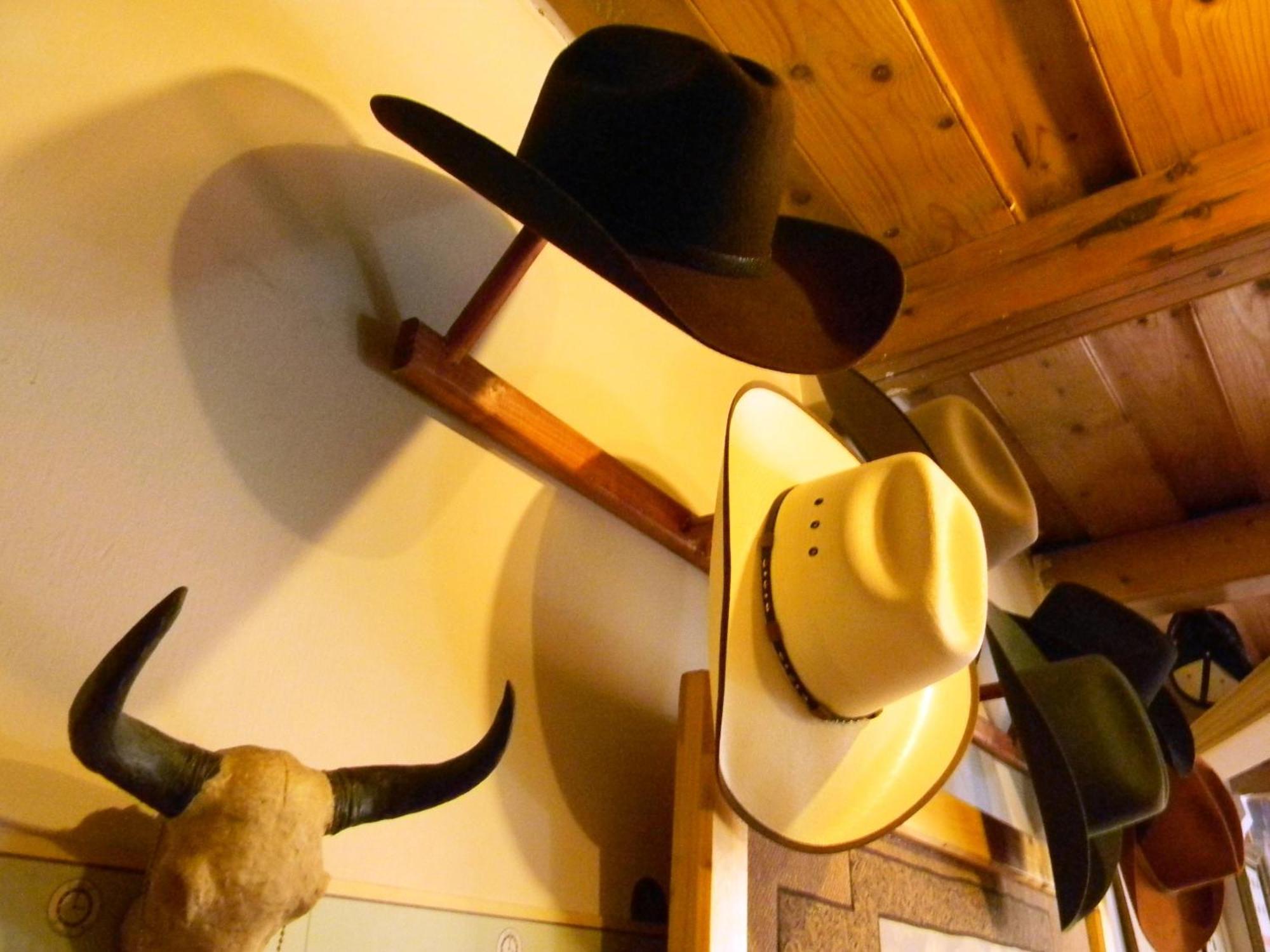 Transylvania Cowboy Cottage Kaloşvar Dış mekan fotoğraf