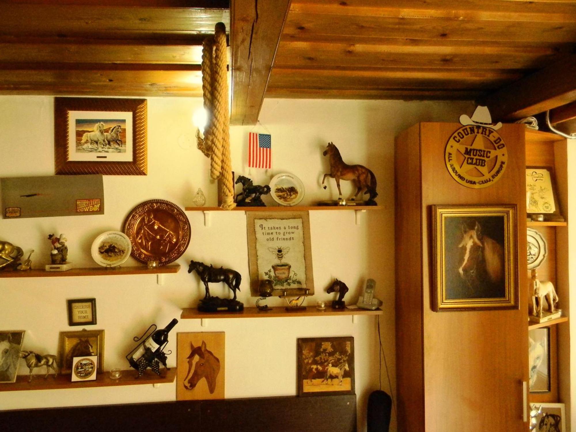 Transylvania Cowboy Cottage Kaloşvar Dış mekan fotoğraf