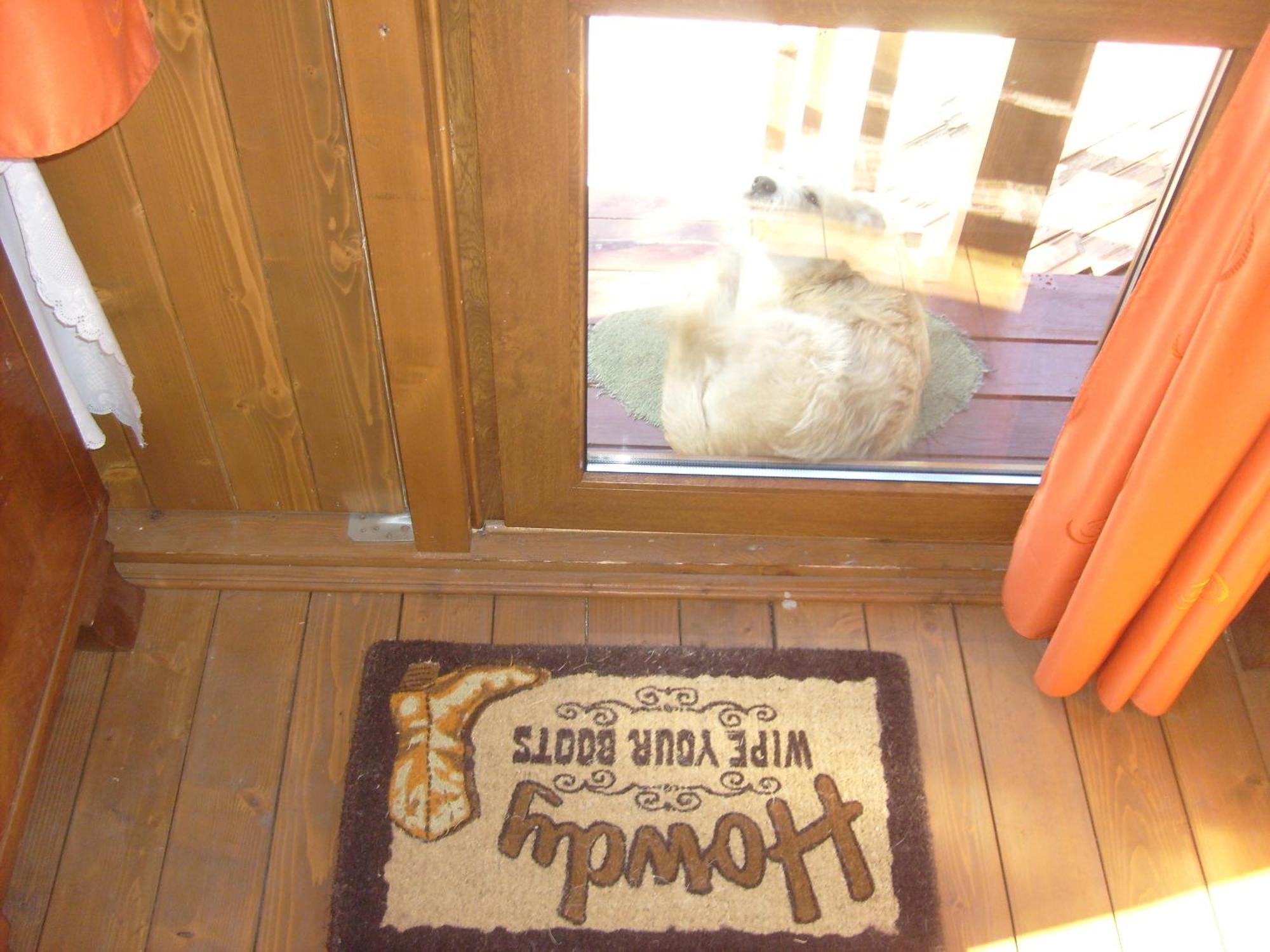 Transylvania Cowboy Cottage Kaloşvar Dış mekan fotoğraf